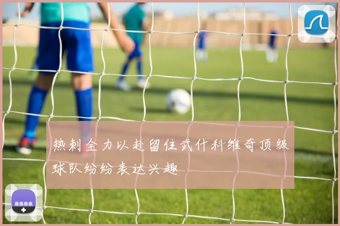 热刺全力以赴留住武什科维奇顶级球队纷纷表达兴趣