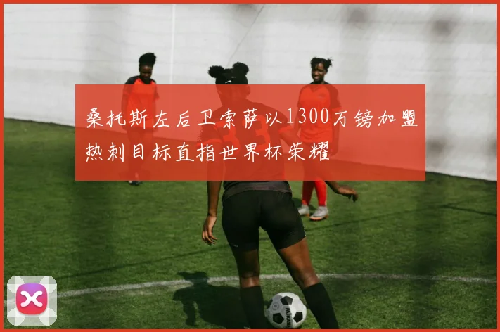 桑托斯左后卫索萨以1300万镑加盟热刺目标直指世界杯荣耀
